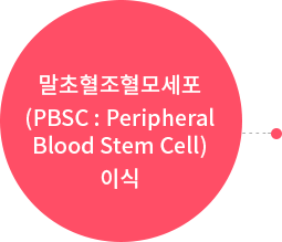 말초혈조혈모세포(PBSC : Peripheral Blood Stem Cell)이식