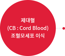 제대혈(CB : Cord Blood)조혈모세포 이식